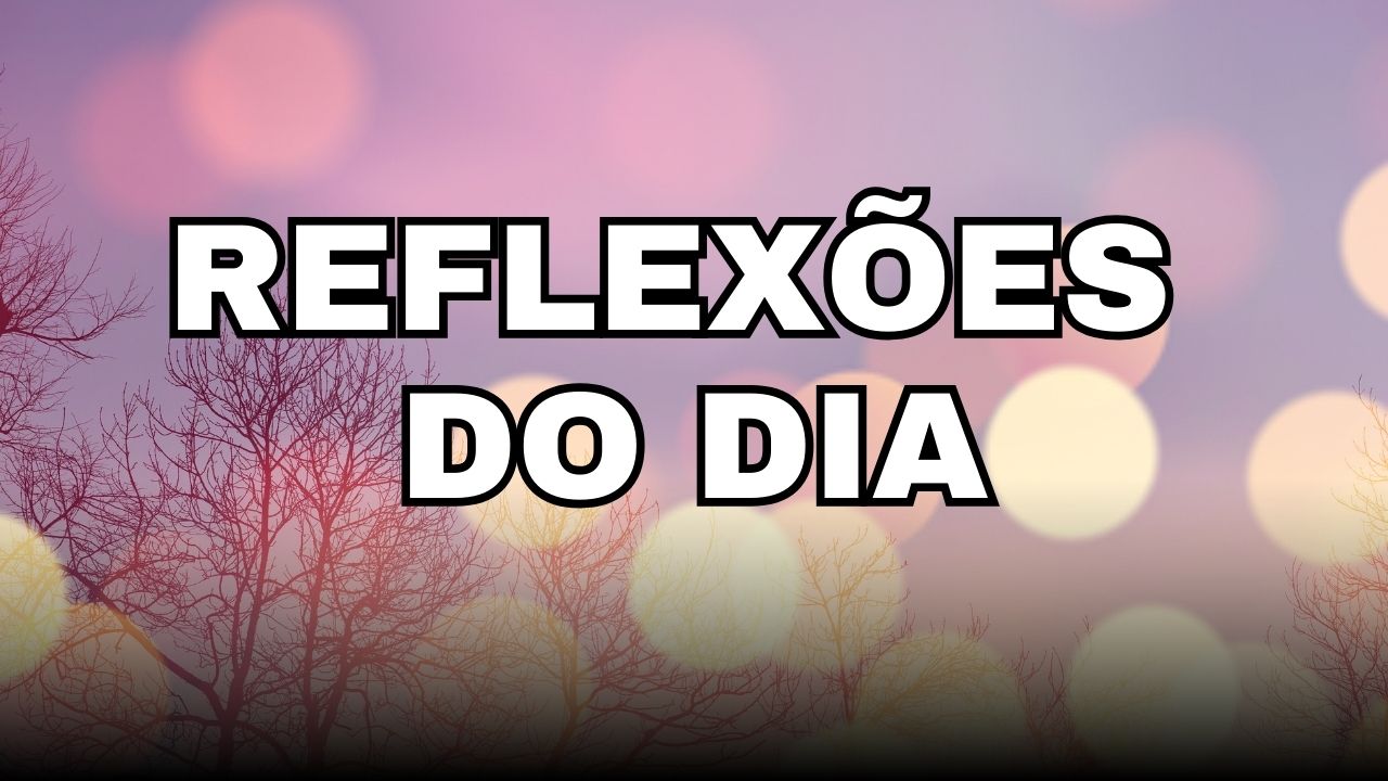 Reflexões do Dia